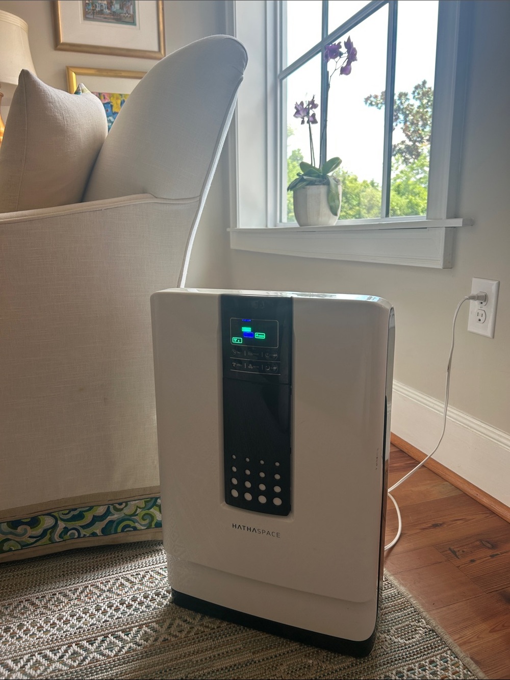 Hathaspace HSP001 Air Purifier